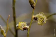 Ein paar Stunden im Naturparadies: Einsame Wanderungen und Begegnungen mit gefiederten Freunden