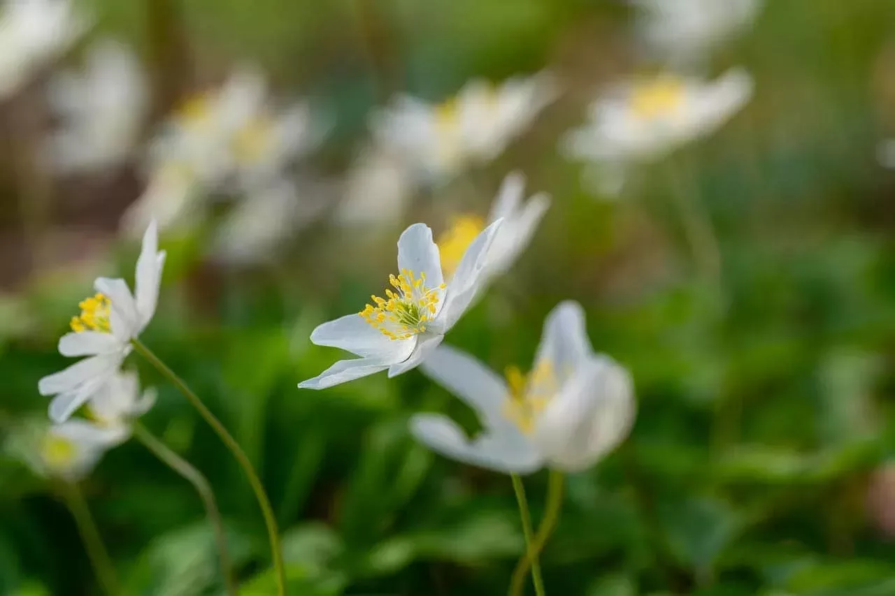 Erbauliche Frühlingsgefühle und unangenehme Begegnungen