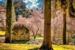 Jetzt muss der Frühling endlich kommen