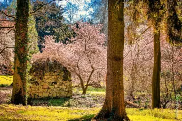 Jetzt muss der Frühling endlich kommen