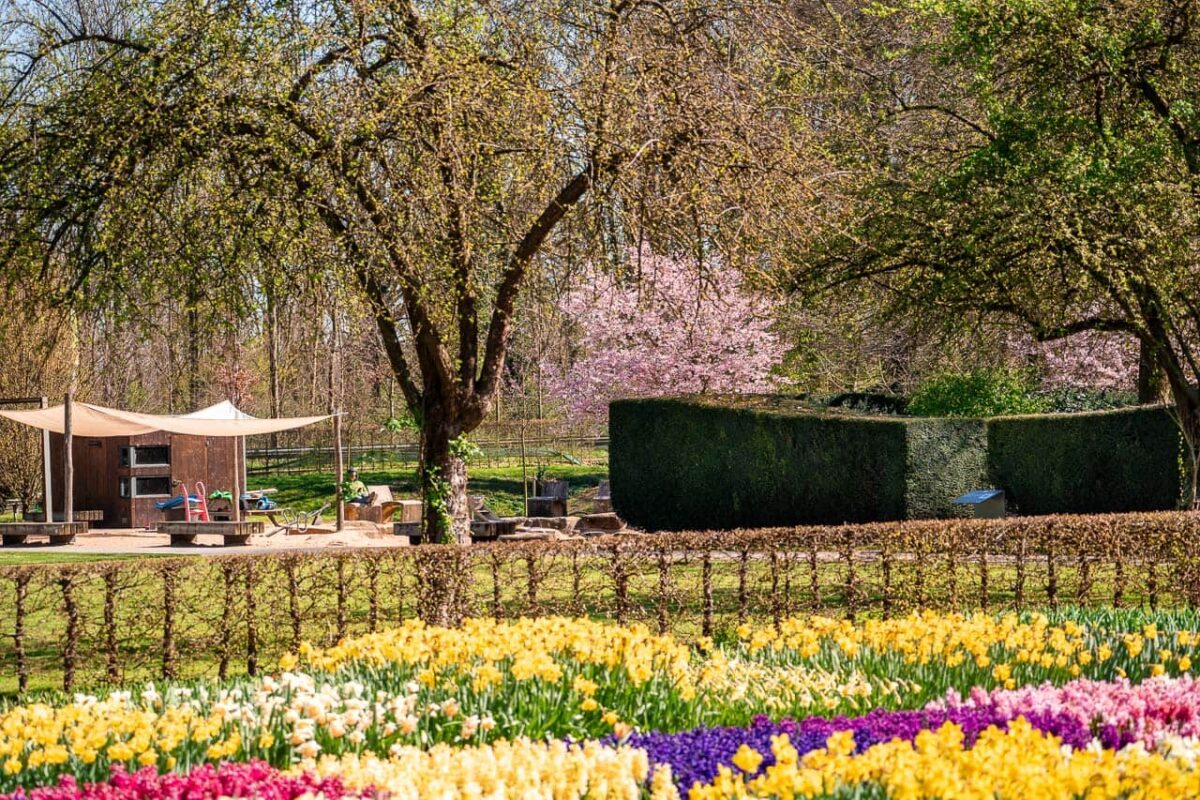 Im Schlosspark Dyck