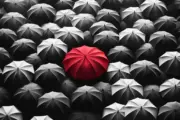 DALL·E 2024 05 26 12.10.43 A black and white depiction of a crowd of umbrellas seen from above. The umbrella in the center is bright red, standing out starkly against the monoch