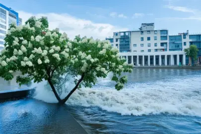 Firefly Schlimme Ueberschwemmungen einer Stadt 90376