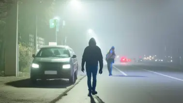 Firefly dunkle, unheimliche Atmossphäre in dunkler Straße einer Großstadt. Verdächtige Figuren beweg(9)