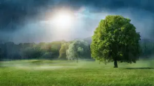 Tag des Sonnenschutzes: Wo bleibt die Sonne?