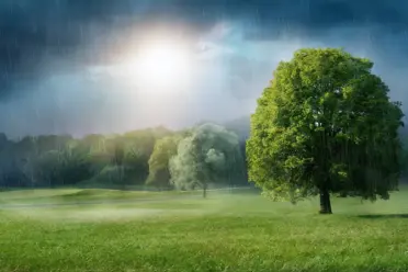 Tag des Sonnenschutzes: Wo bleibt die Sonne?