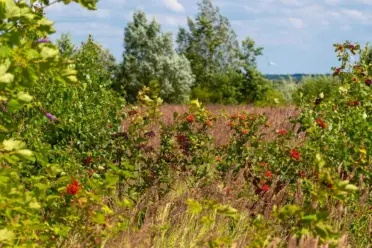 Wanderung von 10 km: Sammlung schöner und bedrückender Impressionen