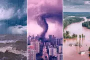 Kickls FPÖ bekämpft die „Klimahysterie“???
