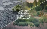 Schottergärten in NRW: Ob das Gesetz wirkt, das seit 1. Januar 2024 gültig ist?