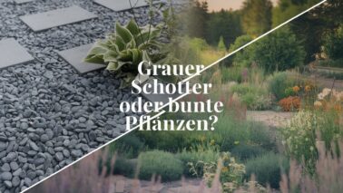a splitscreen design with a photo of a gravel gard oUksZDCHTNGvVc7XZlrKDQ W0sejo44SFusJx4KKy4UMw