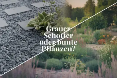 a splitscreen design with a photo of a gravel gard oUksZDCHTNGvVc7XZlrKDQ W0sejo44SFusJx4KKy4UMw