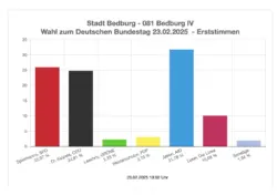 afd erststimmen