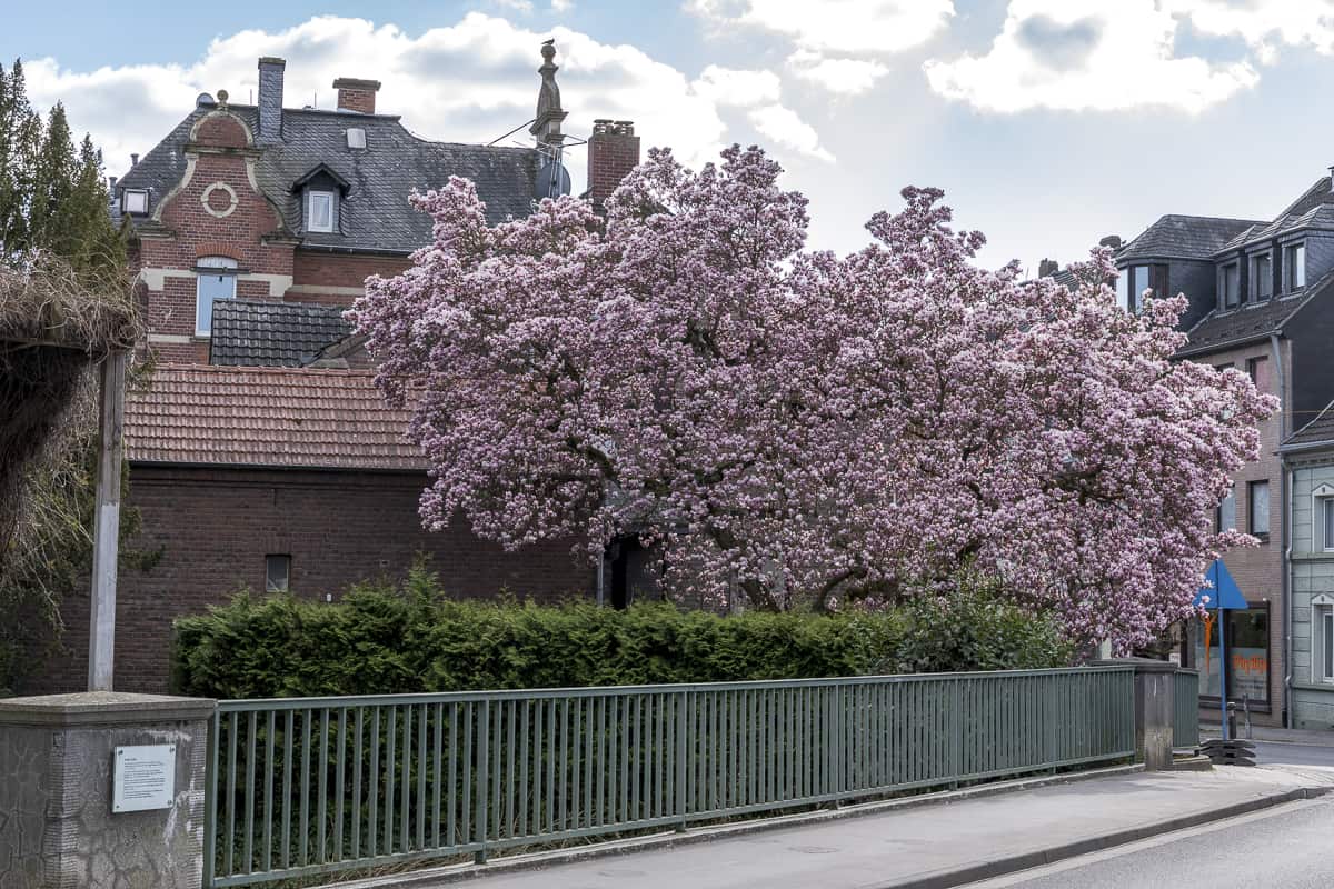 Bedburg - Innenstadt