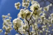 Spaziergang durchs Revier – ein Frühlingsmoment