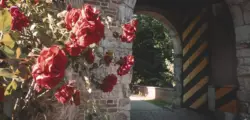 Alte Gemäuer (hier Alt-Kaster)