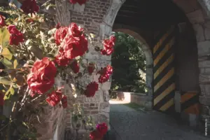 Erfttor - Alt-Kaster