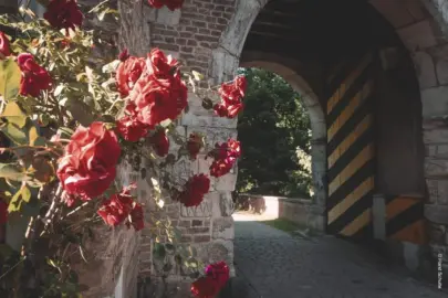 Erfttor - Alt-Kaster