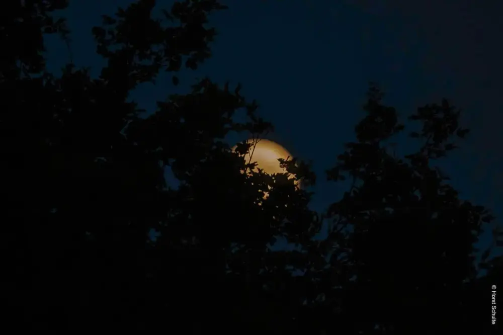 Mond 8.06.2025