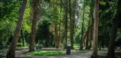 Frischer Wind im Schlosspark: Warum Bedburgs neues Juwel uns optimistisch stimmt