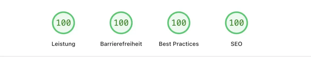 PageSpeed Insight 110825