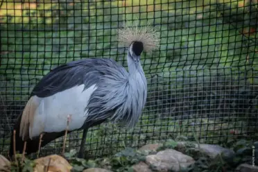Ein Herbsttag im Brückenkopfpark