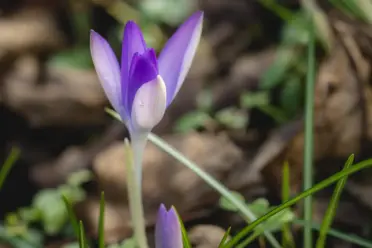 Der Winter soll sich jetzt verpissen