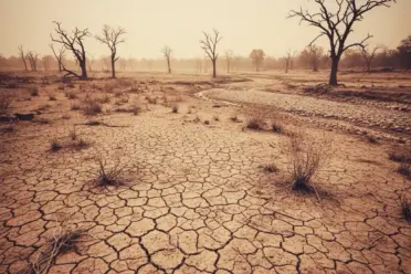Die Abrissbirne aus Mar-a-Lago: Wie Trump die Weltordnung in Schutt und Asche legt