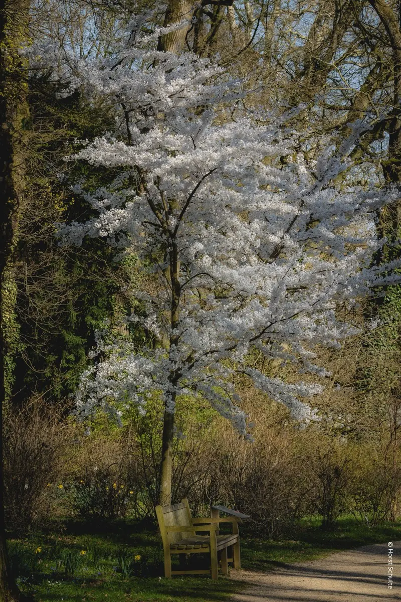 Ruhe und Entspannung