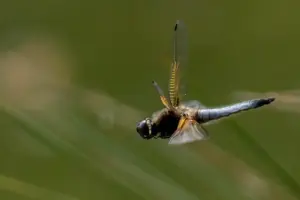 Fotos beschneiden: Weniger ist mehr? 2 Fotos beschneiden: Weniger ist mehr?