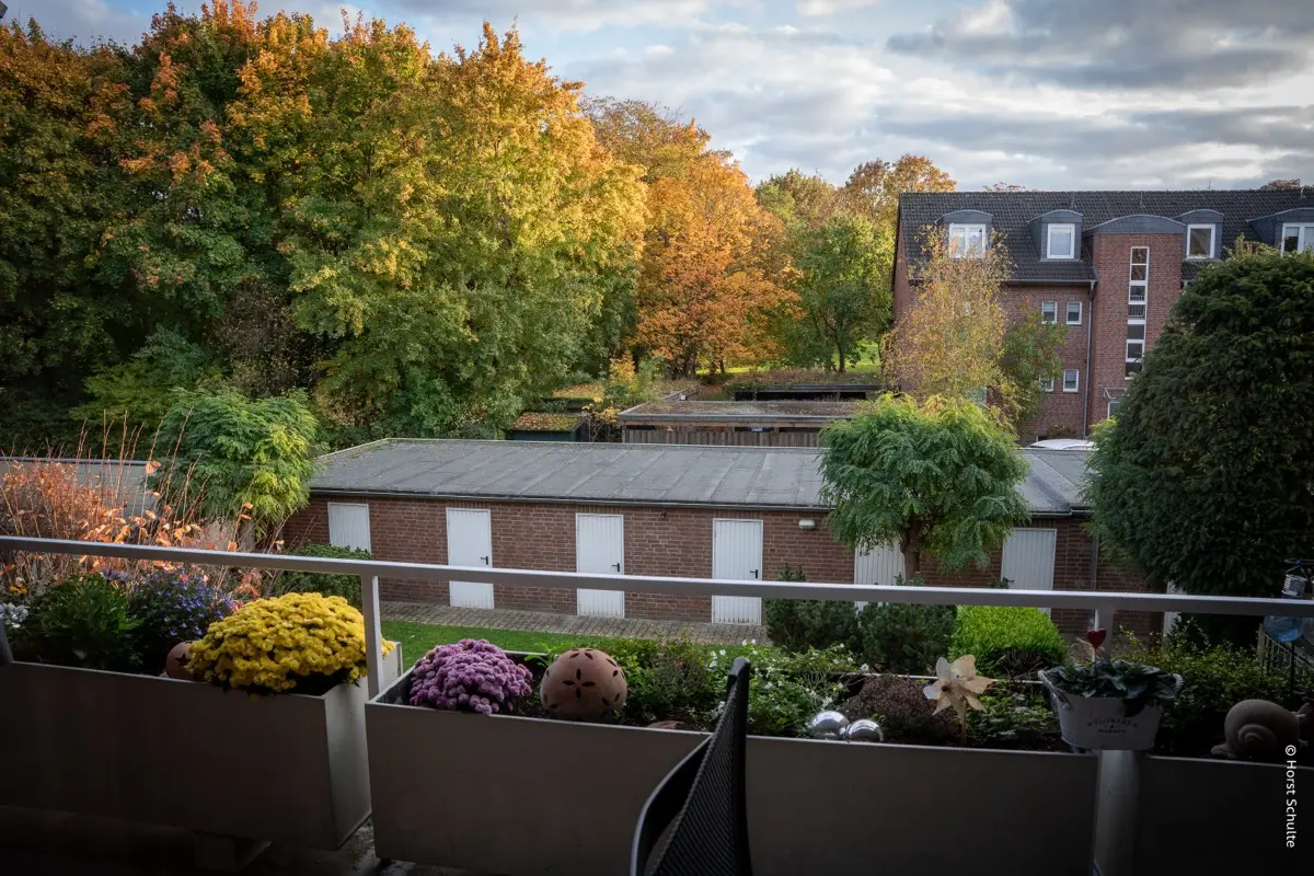 Wo Hummeln die Chefs sind: unser summender Balkon 8 DSC5199
