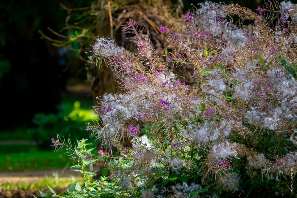 DSC00045