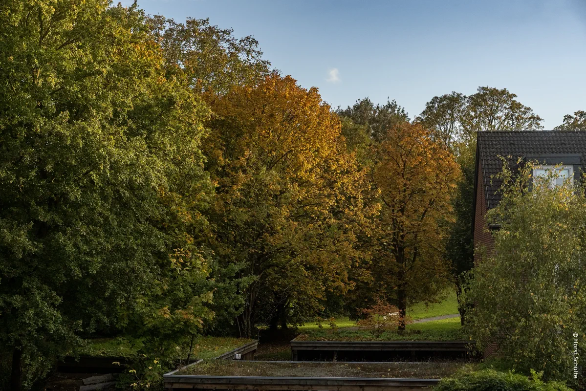 Herbstausblick 221026
