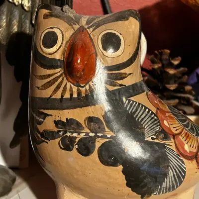 Owlsight